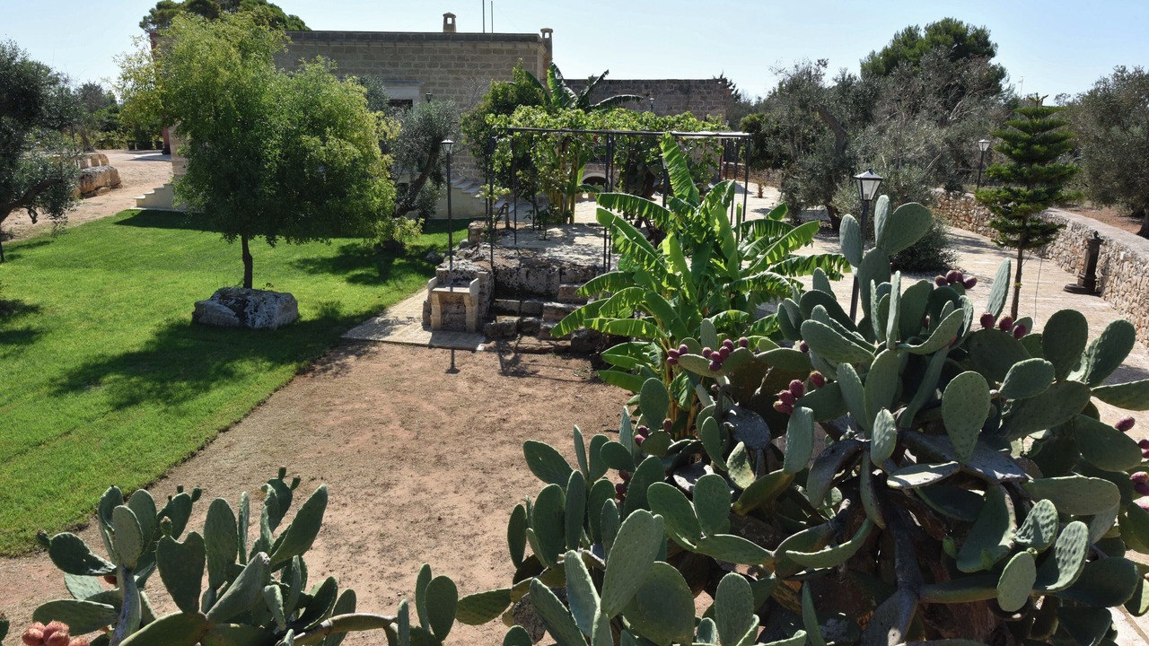 Photo of Outdoor in Sannicola