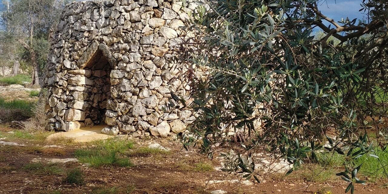 Photo of Outdoor in Sannicola