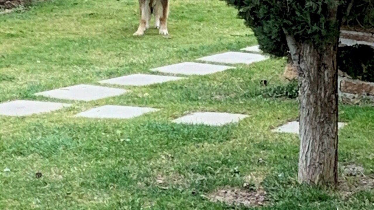 Photo of Outdoor in Civitavecchia