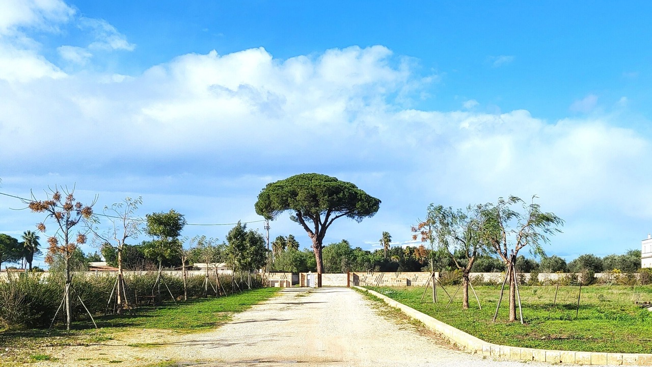 Photo of Outdoor in Castromediano