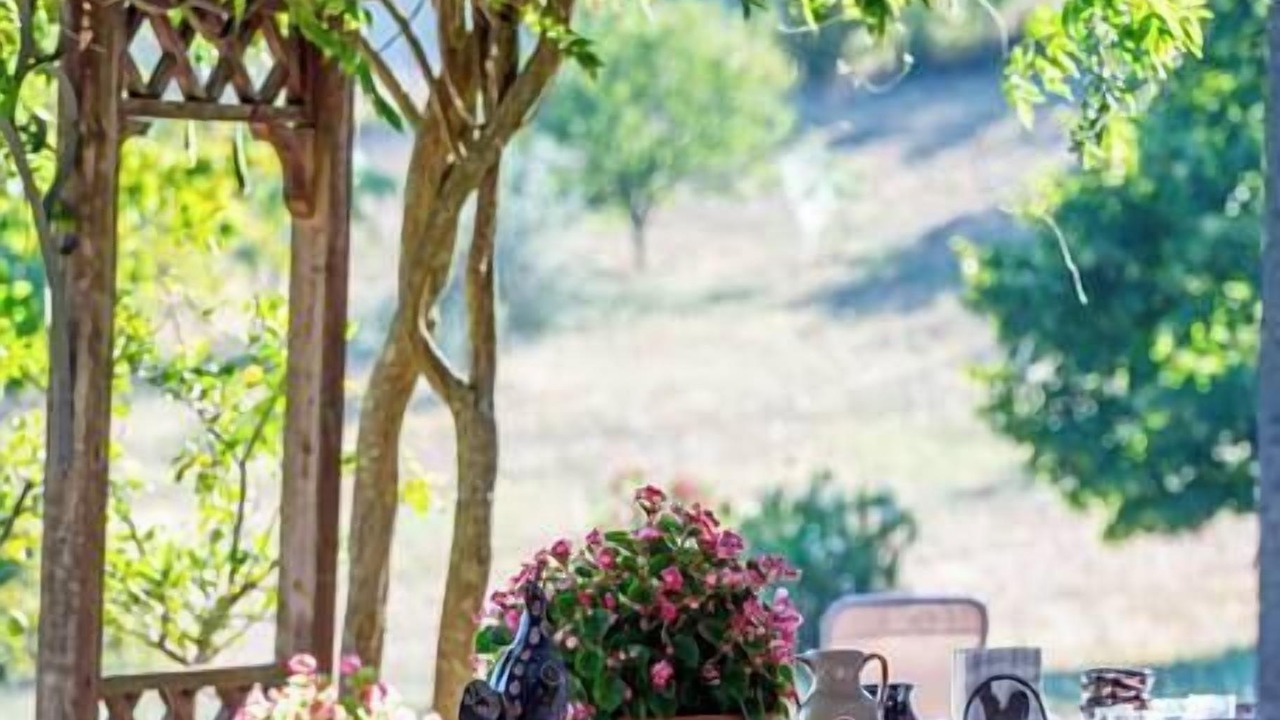 Photo of Outdoor in Sutri