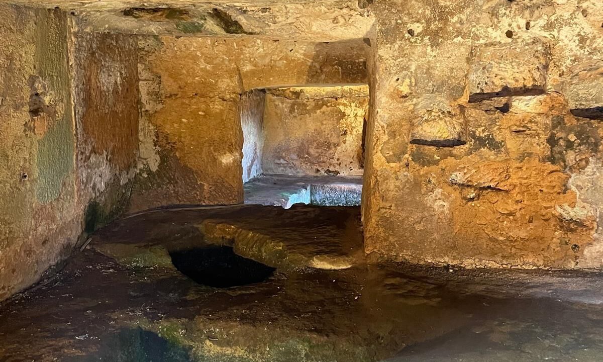 Photo of Others in Cisternino