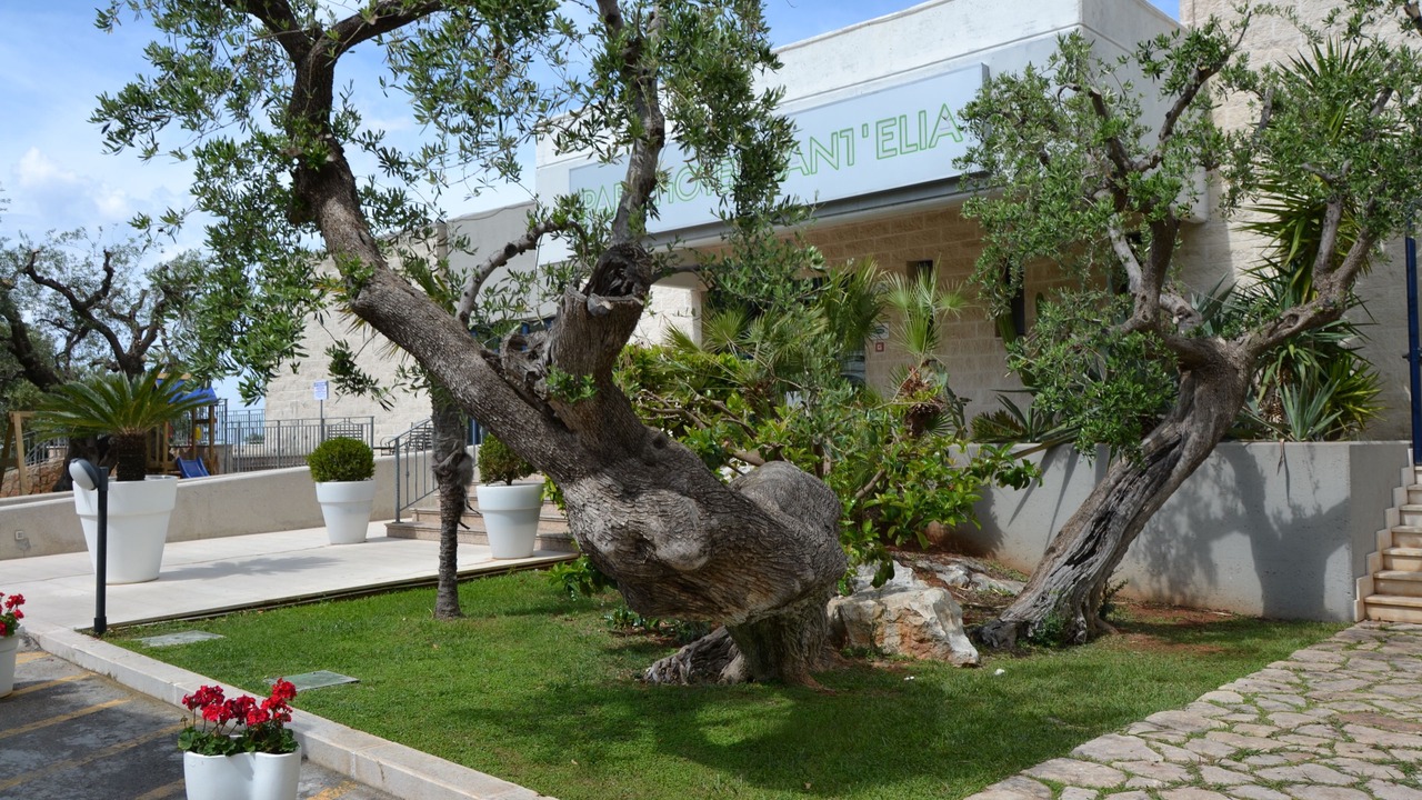 Photo of Outdoor in Fasano