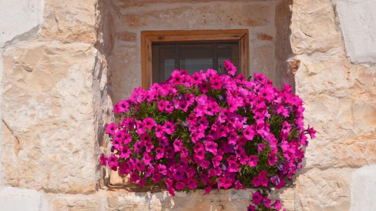 Photo of Outdoor in Putignano