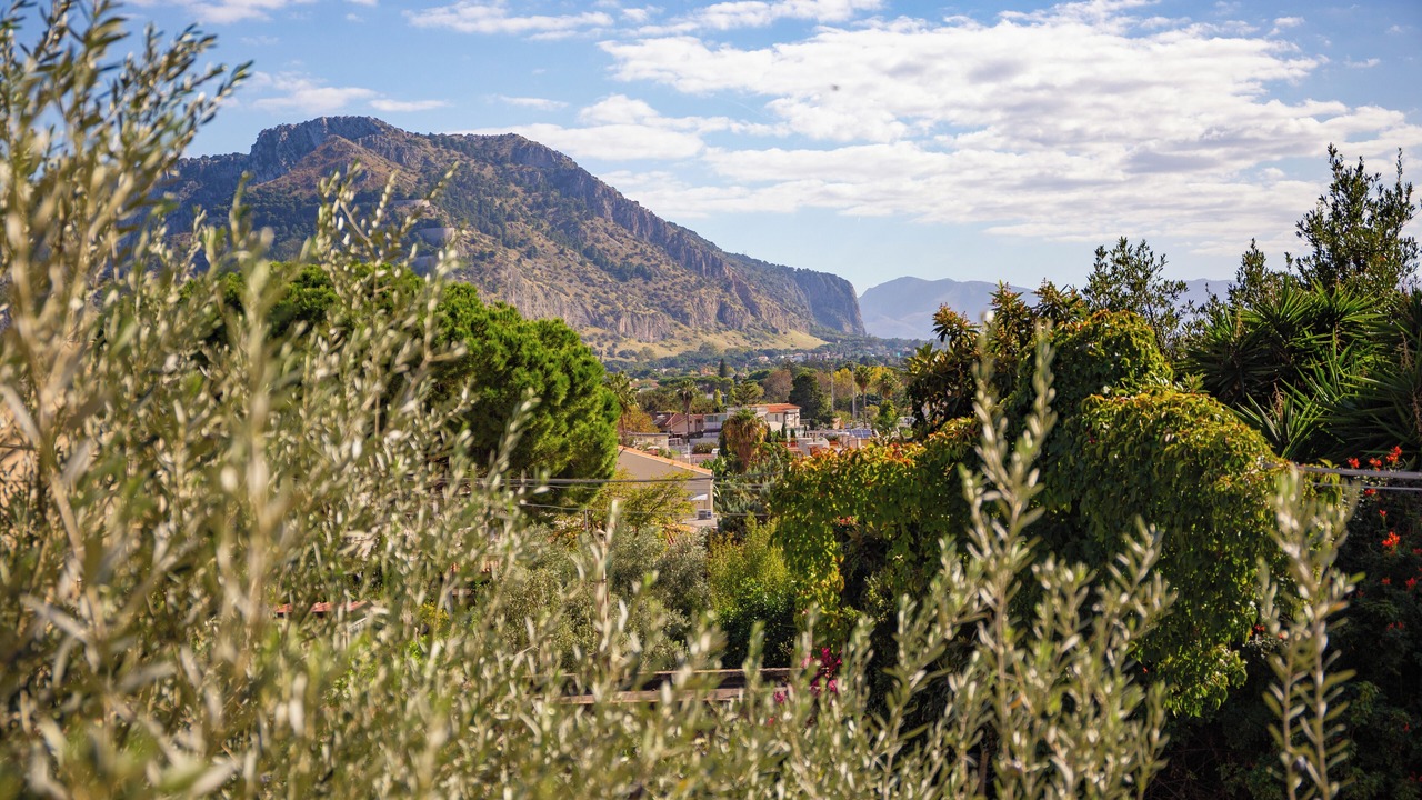 Photo of Outdoor in Mondello
