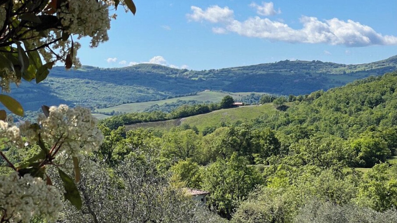 Photo of Outdoor in Sorano