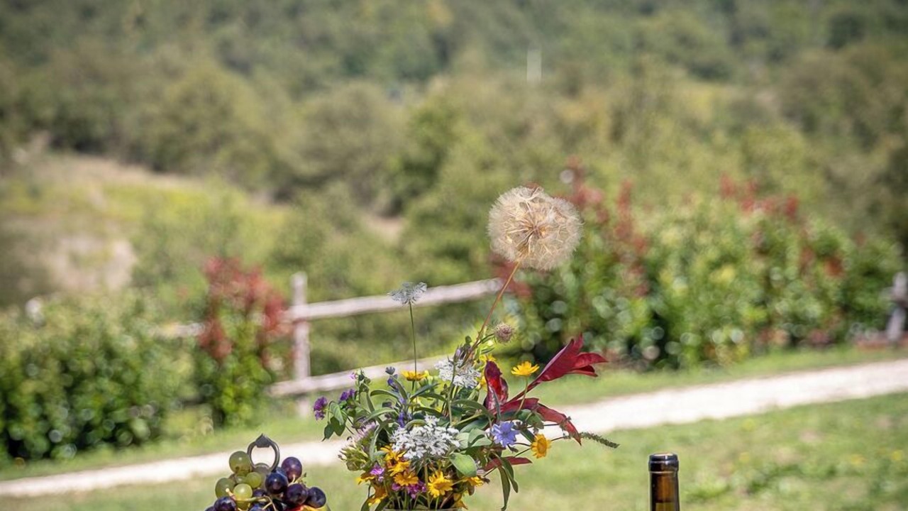 Photo of Patio Balcony in Sorano