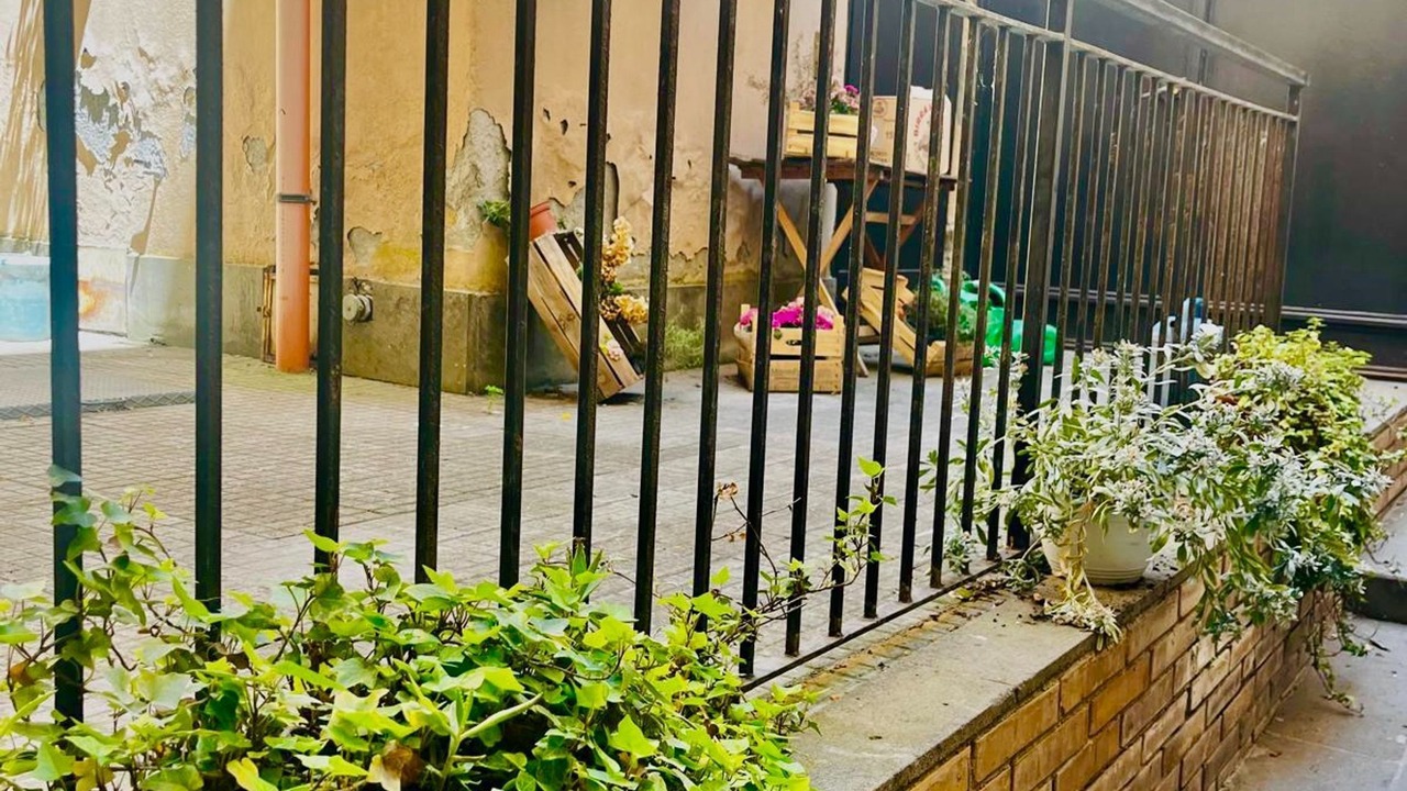 Photo of Outdoor in Civitavecchia