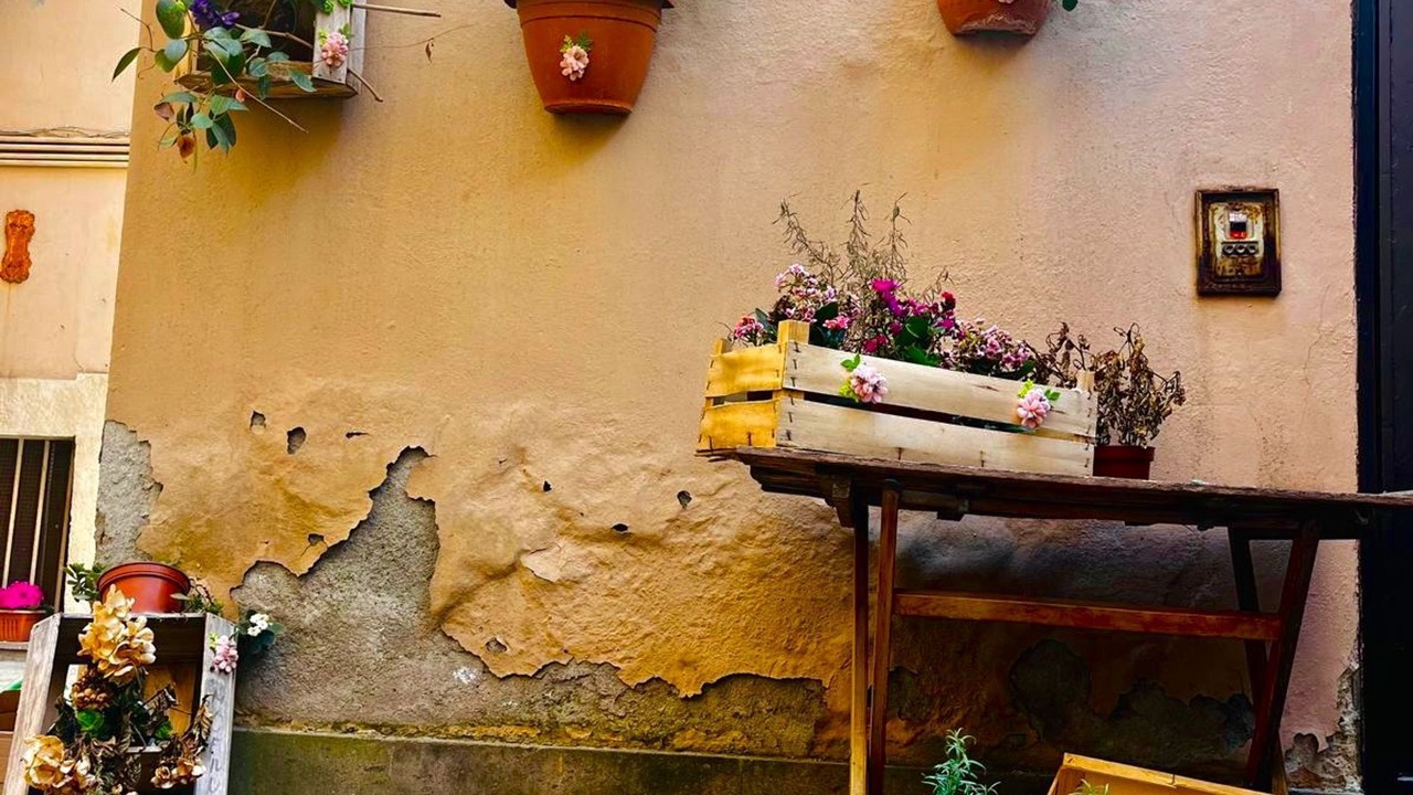 Photo of Outdoor in Civitavecchia