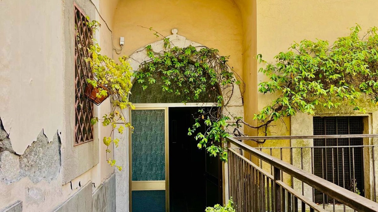 Photo of Outdoor in Civitavecchia