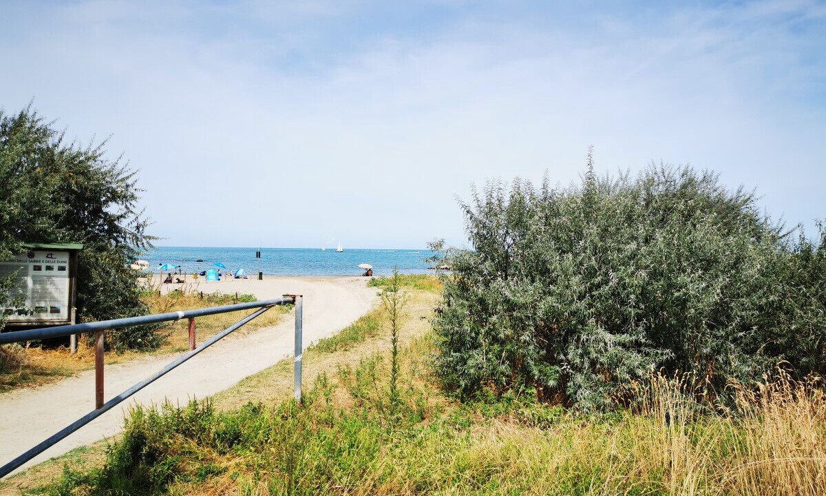 Photo of Outdoor in Mondaino