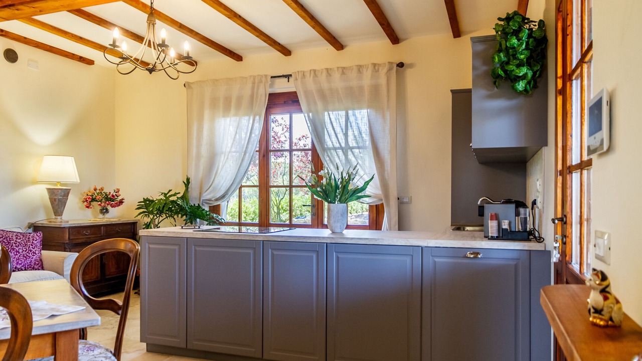 Photo of Kitchen in Marina di Grosseto