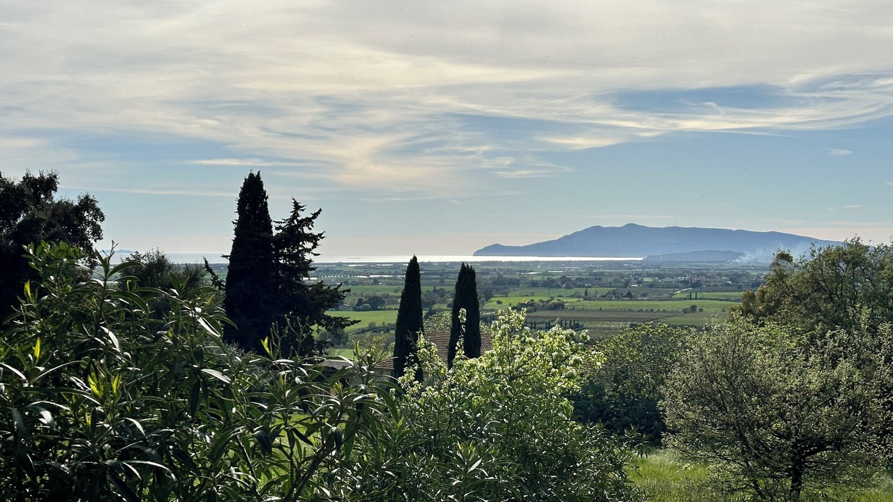 Photo of Others in Pescia Fiorentina