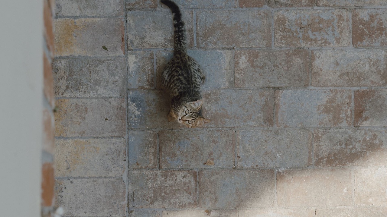 Photo of Others in Chiusi