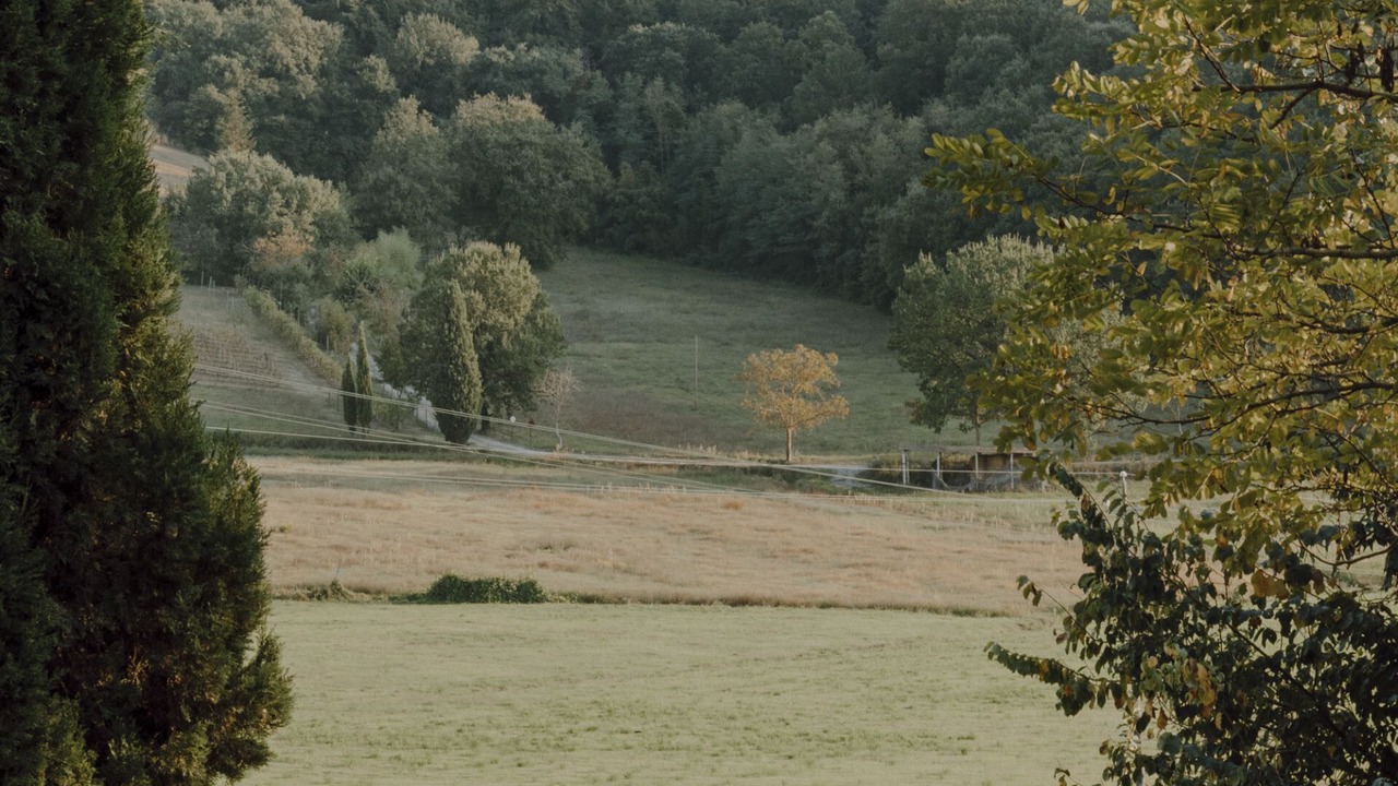 Photo of Others in Chiusi