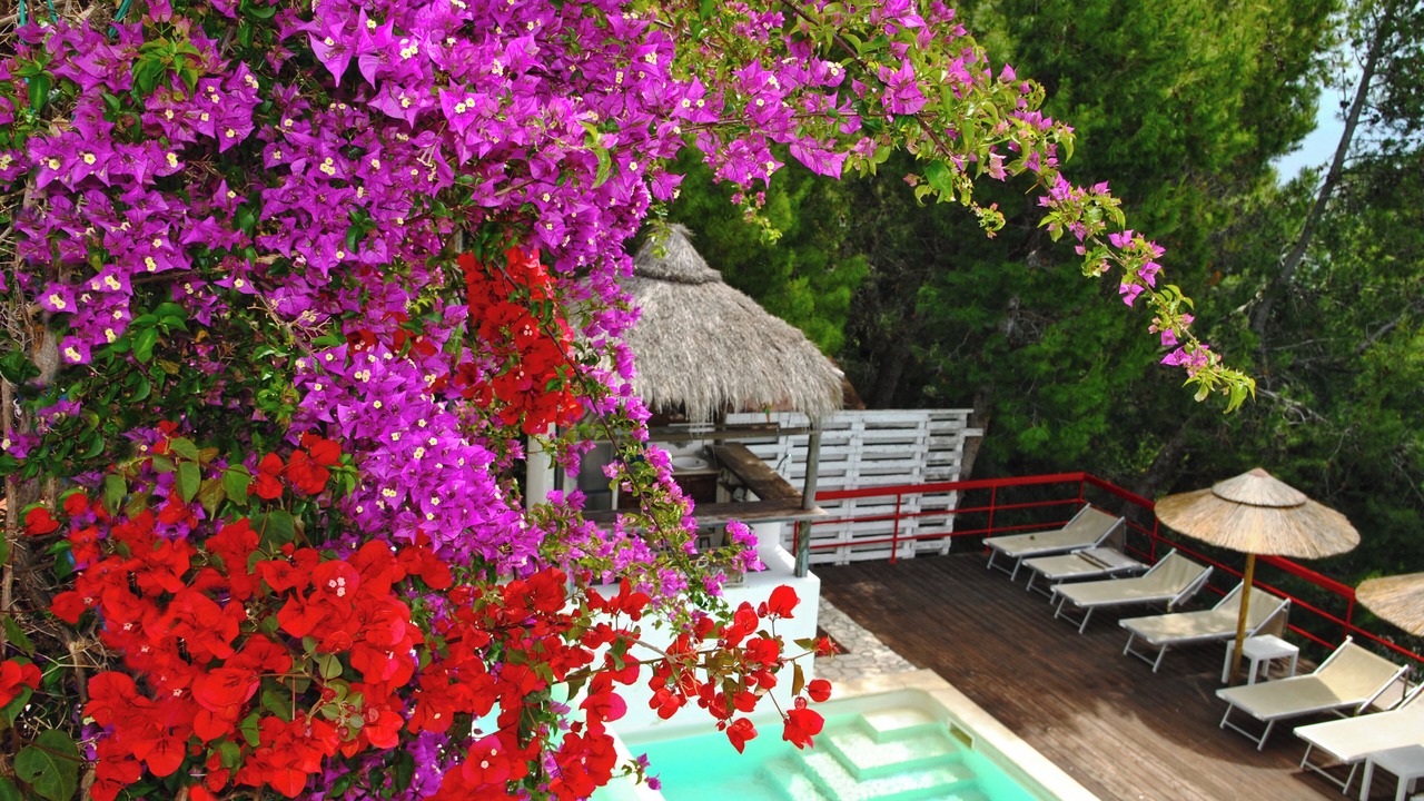 Photo of Outdoor in Sperlonga