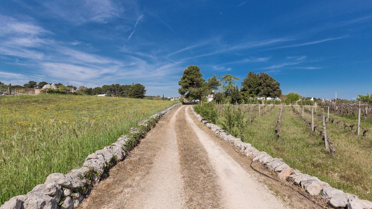 Photo of Outdoor in Ostuni