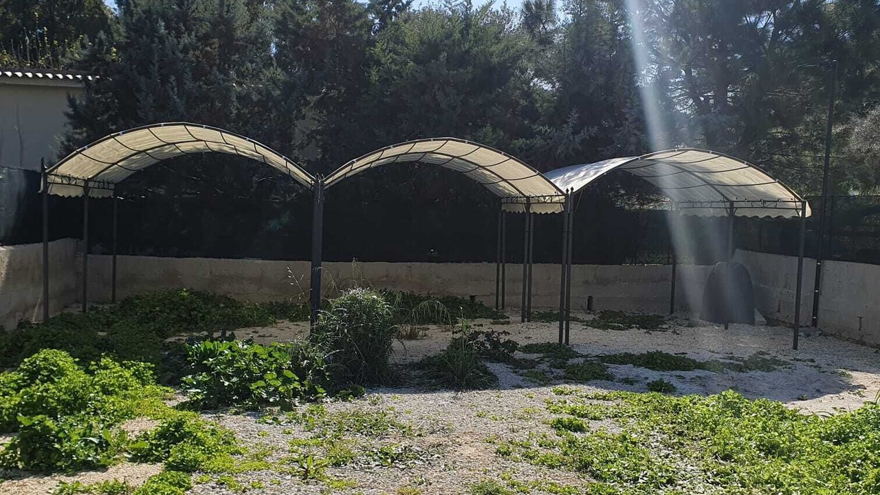 Photo of Outdoor in Gallina