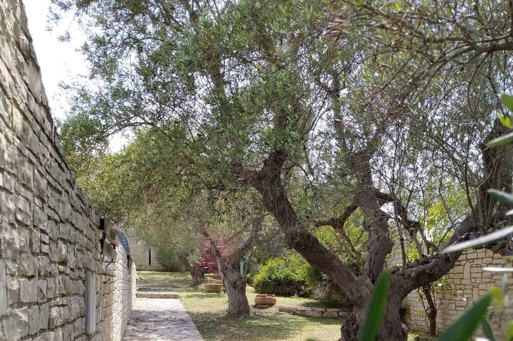 Photo of Outdoor in Trani