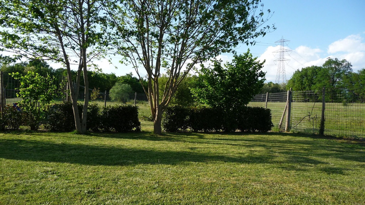 Photo of Outdoor in Orentano