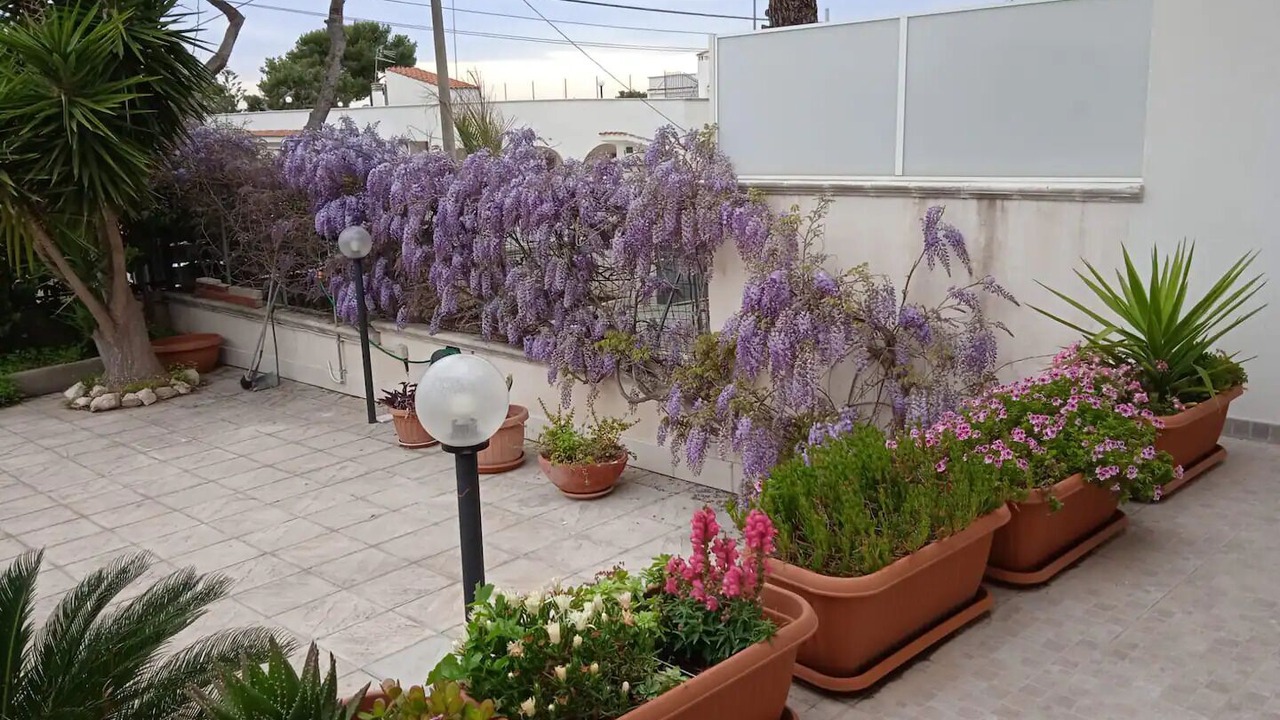 Photo of Outdoor in Leporano Marina