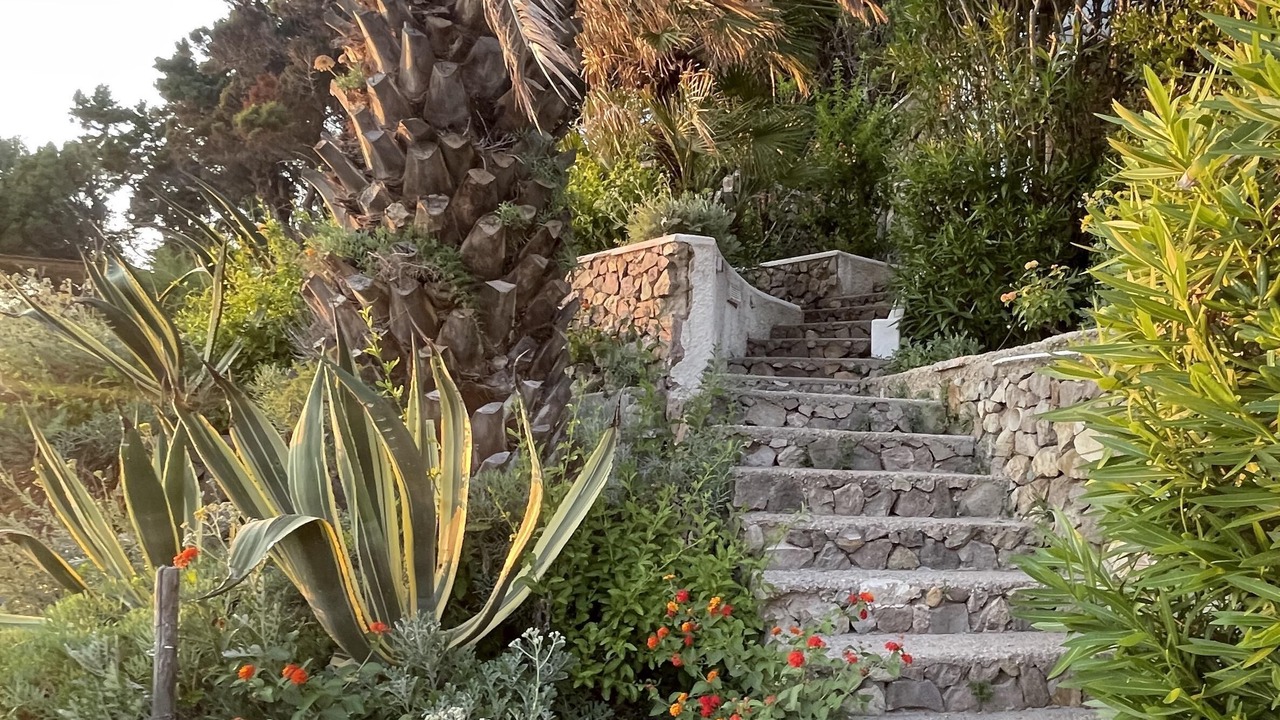 Photo of Outdoor in Le Forna