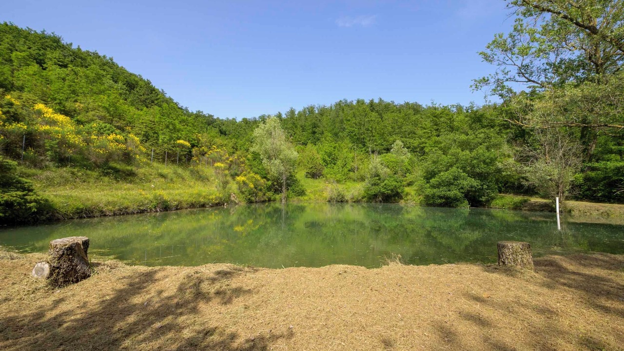 Photo of Outdoor in Padule