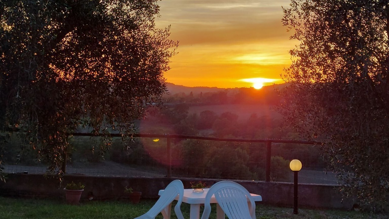 Photo of Outdoor in Scansano