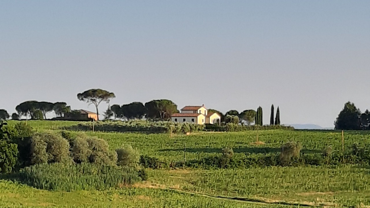 Photo of Outdoor in Petrignano del Lago