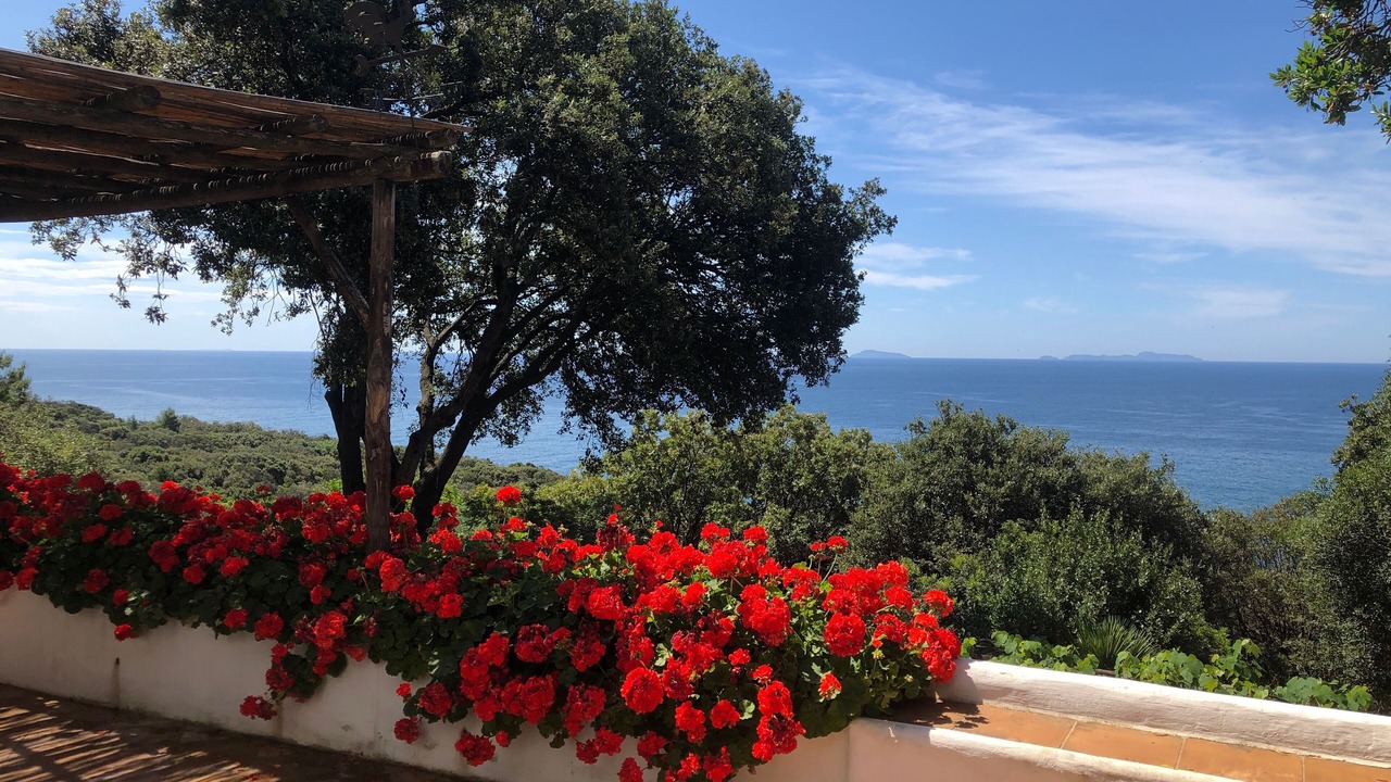 Photo of Outdoor in San Felice Circeo