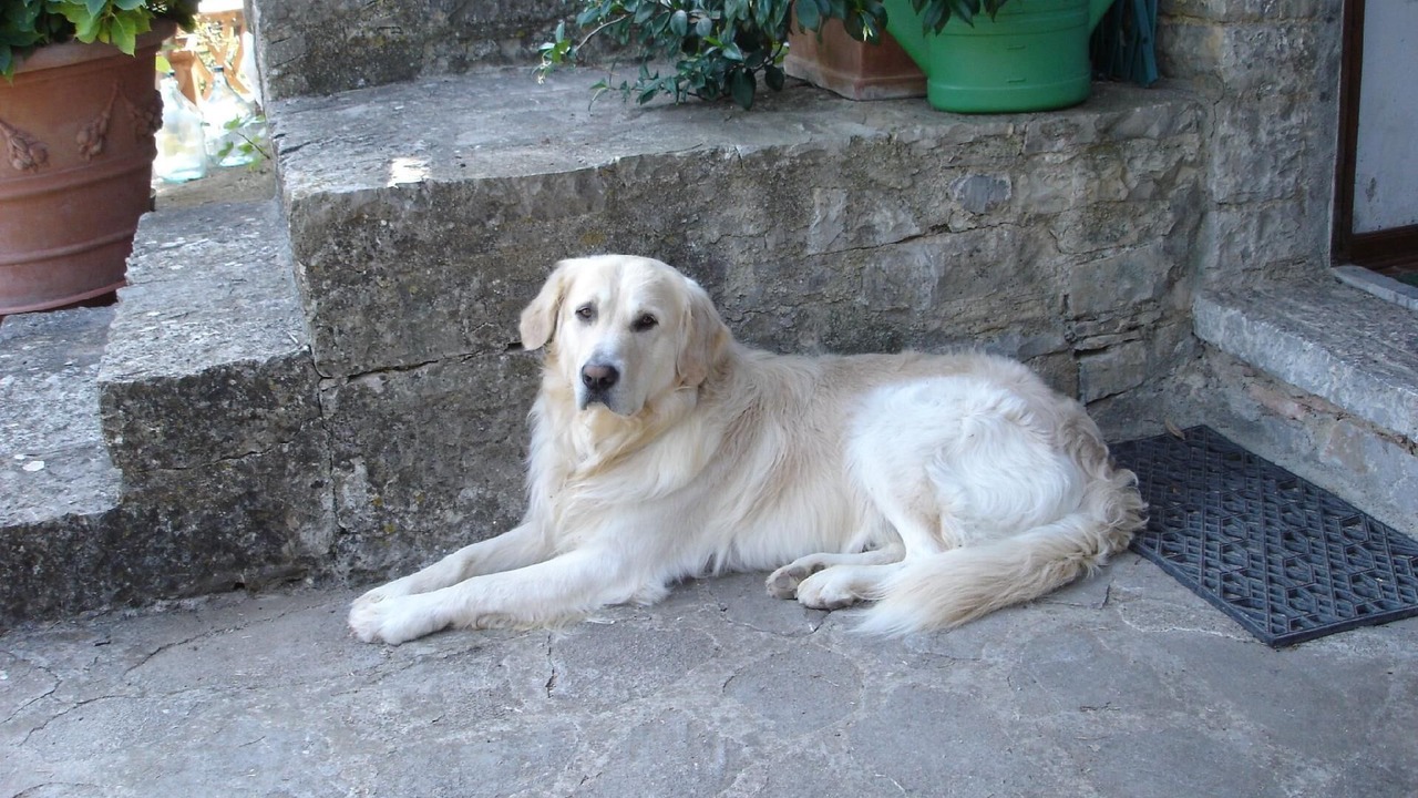 Photo of Outdoor in Semproniano