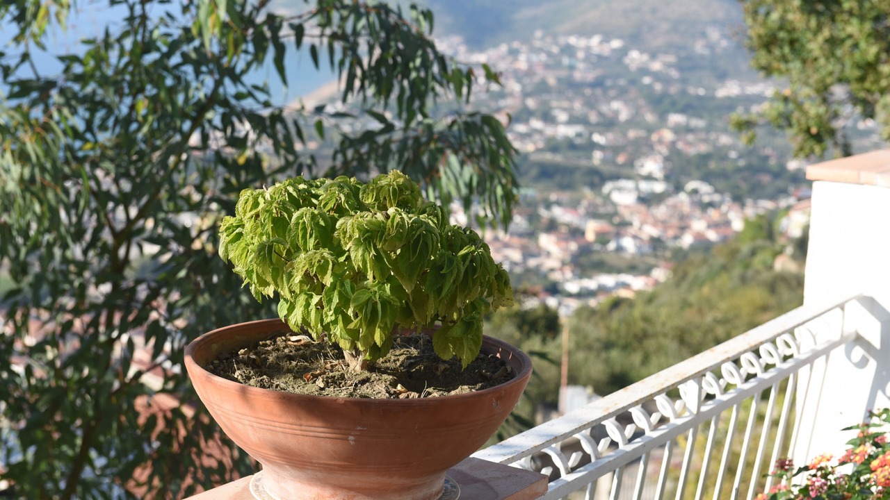 Photo of Outdoor in Giungano