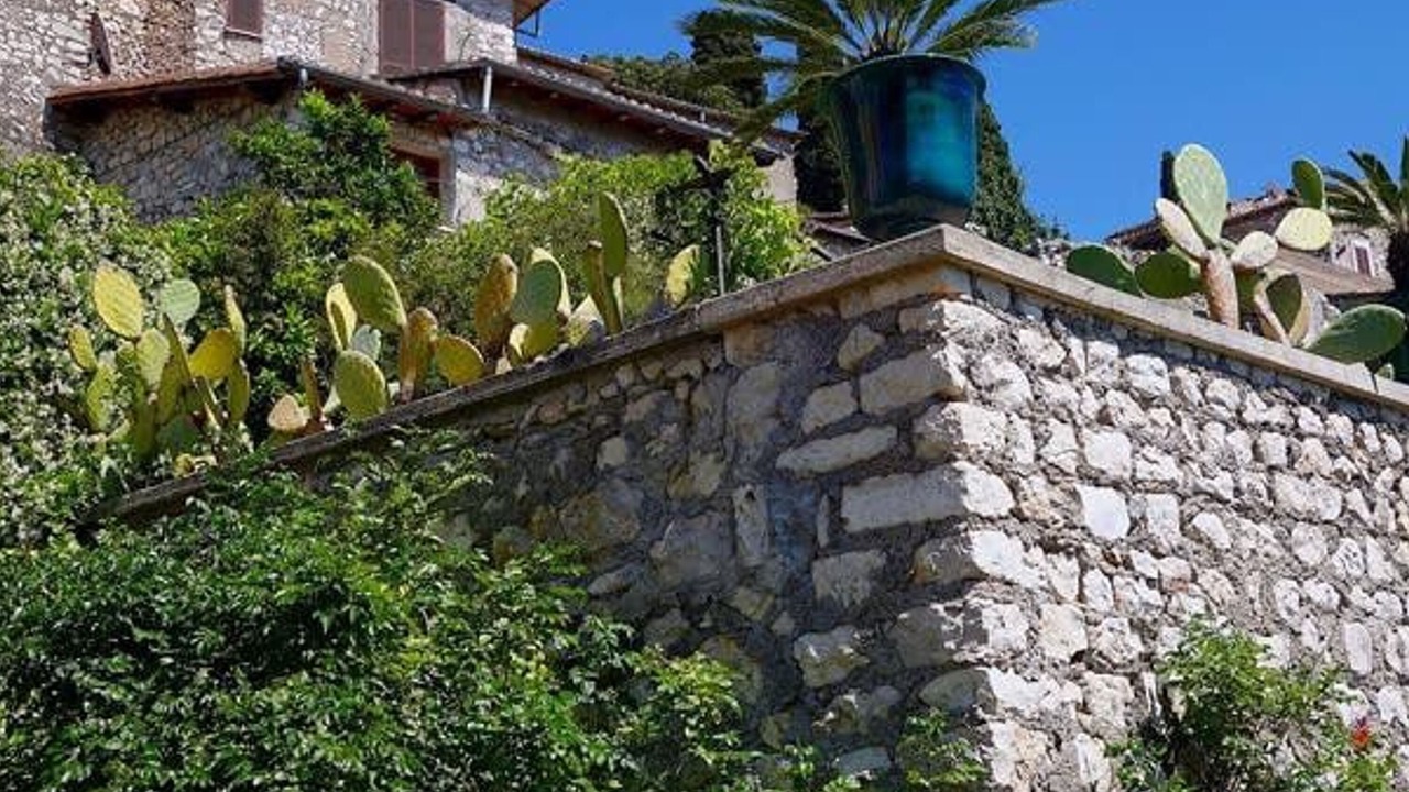 Photo of Others in Sermoneta