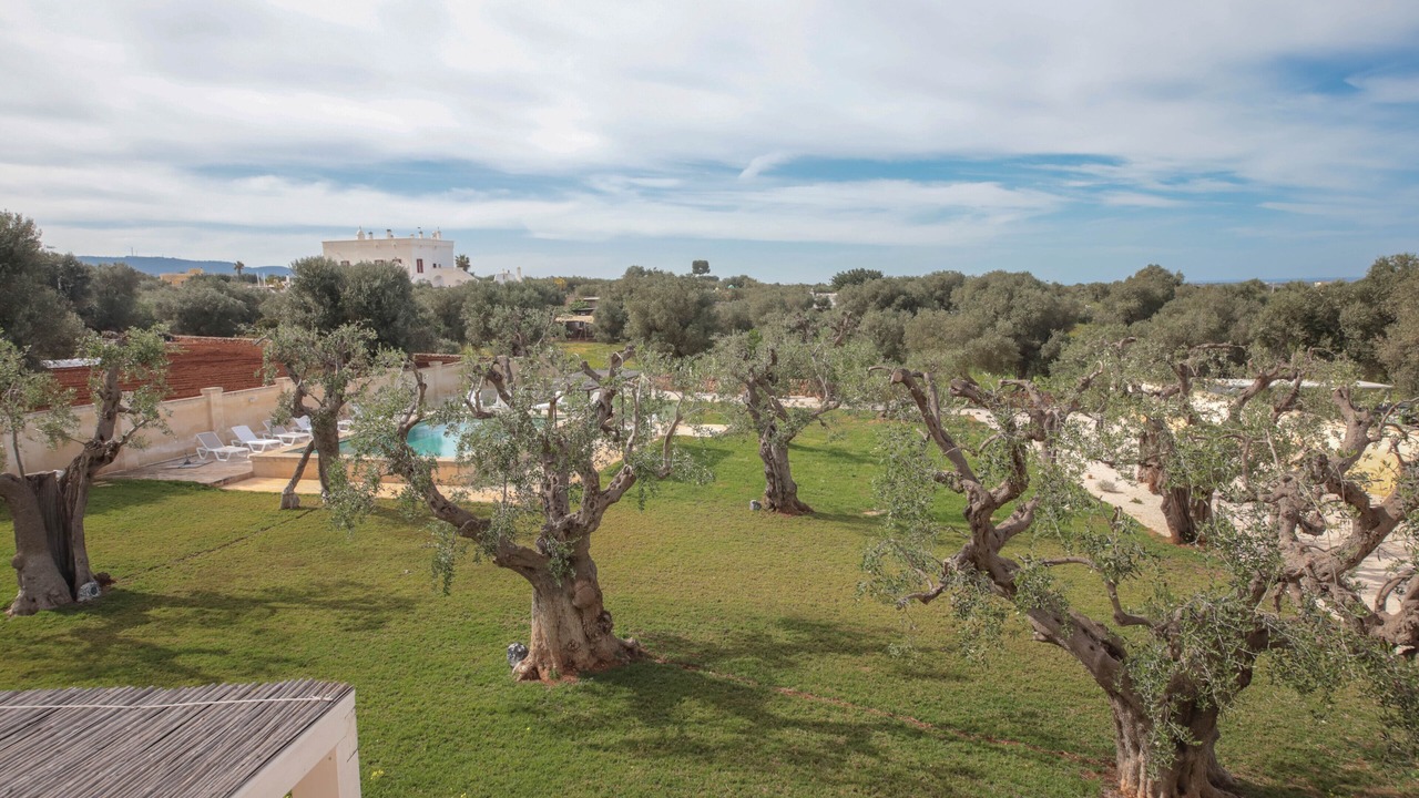 Photo of Outdoor in Fasano