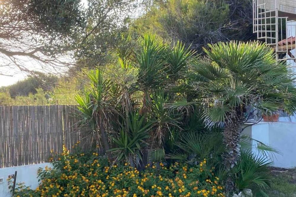 Photo of Outdoor in Leporano Marina