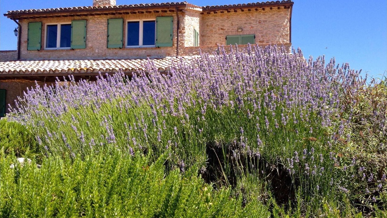 Photo of Outdoor in Loreto