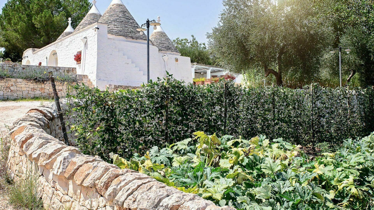 Photo of Buildings in Martina Franca