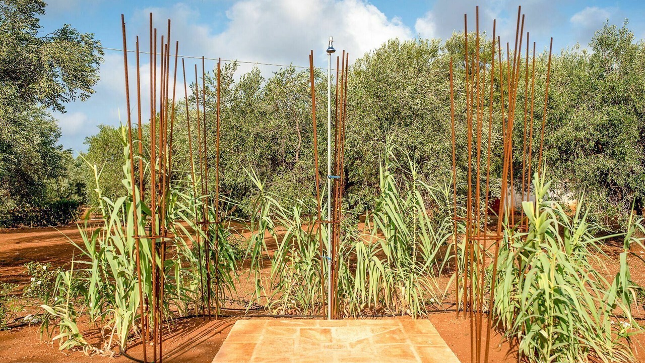 Photo of Outdoor in Fasano