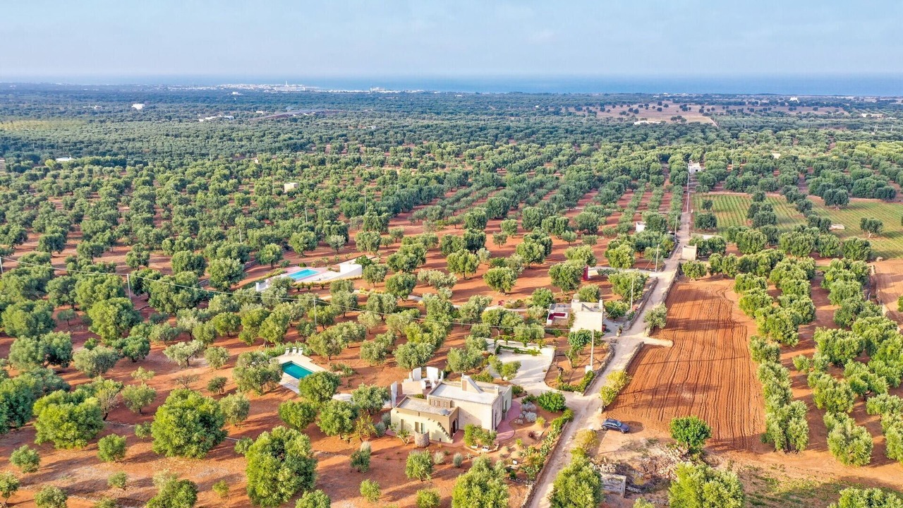 Photo of Outdoor in Fasano