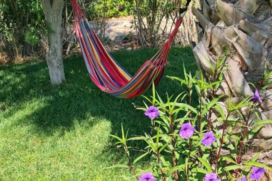 Photo of Outdoor in Leverano