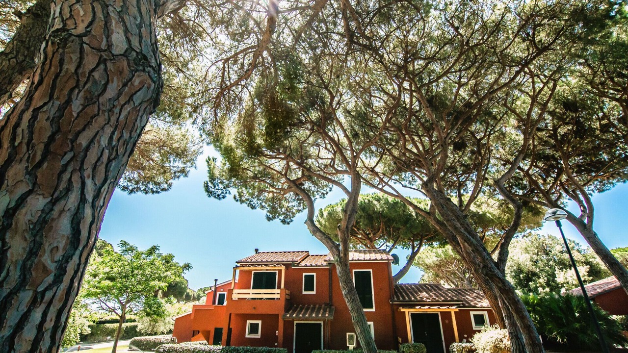 Photo of Outdoor in Orbetello