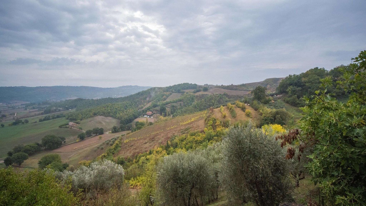 Photo of Outdoor in Fabro
