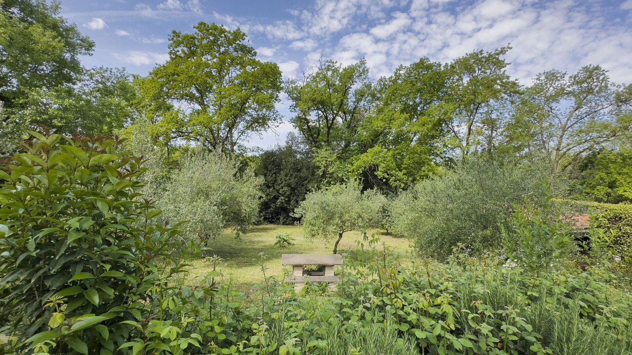 Photo of Outdoor in Formello