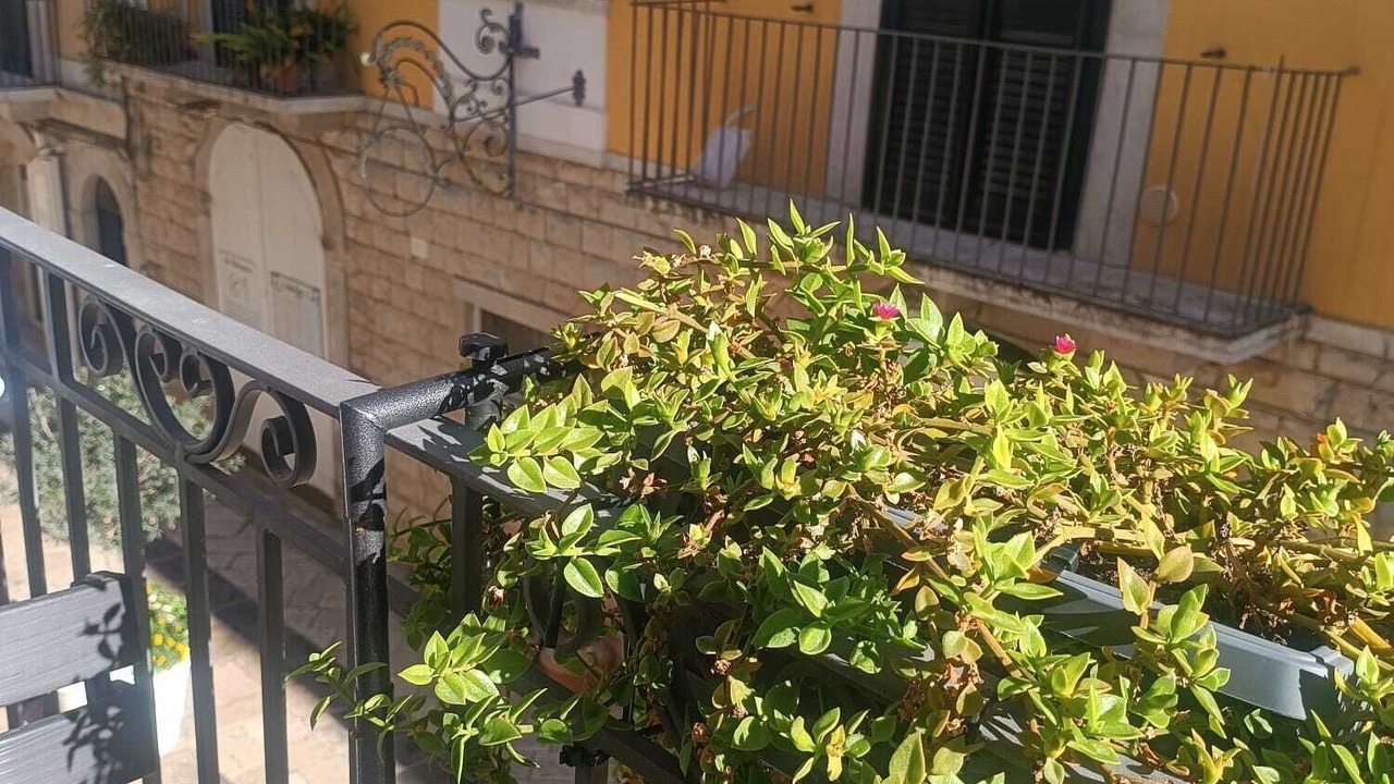 Photo of Patio Balcony in Trani