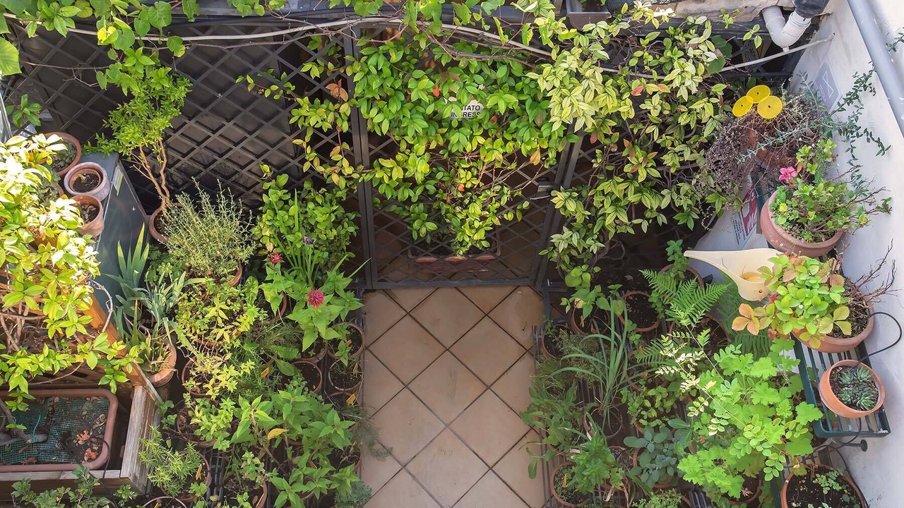 Photo of Outdoor in Prati