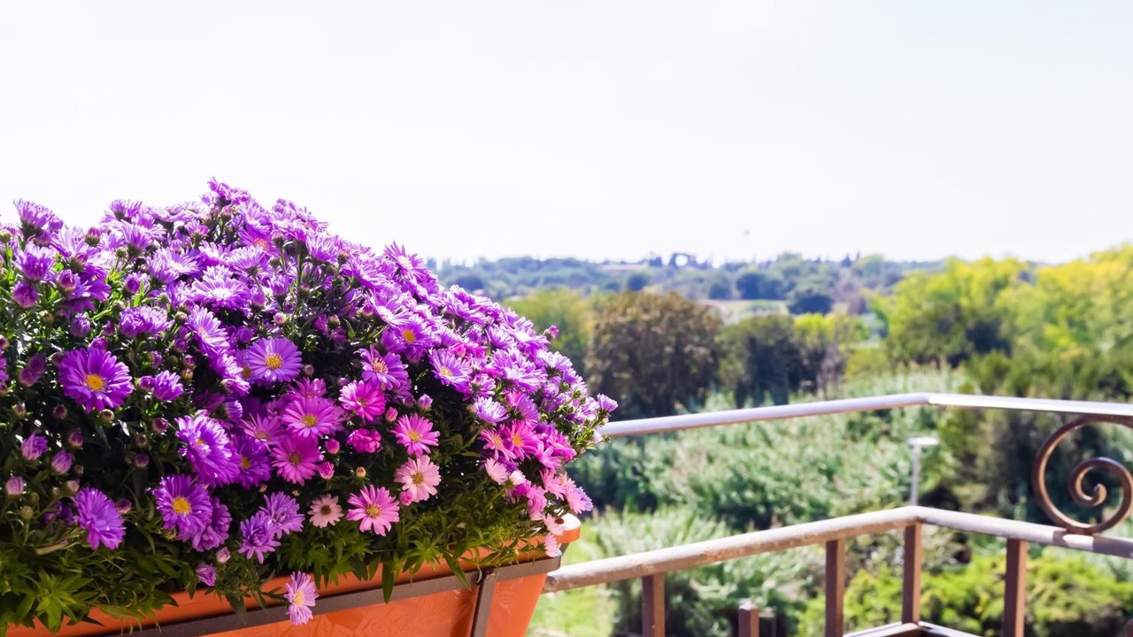 Photo of Patio Balcony in Appio Latino