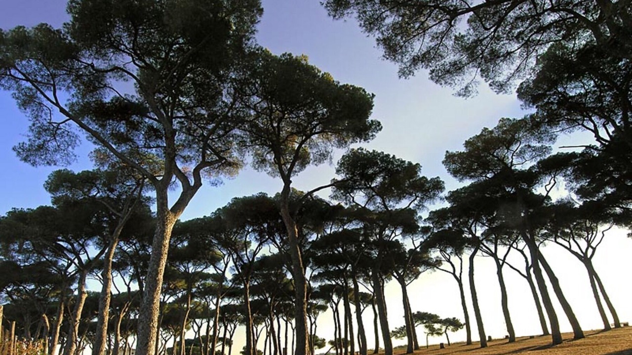 Photo of Outdoor in Quartiere XXVII Primavalle