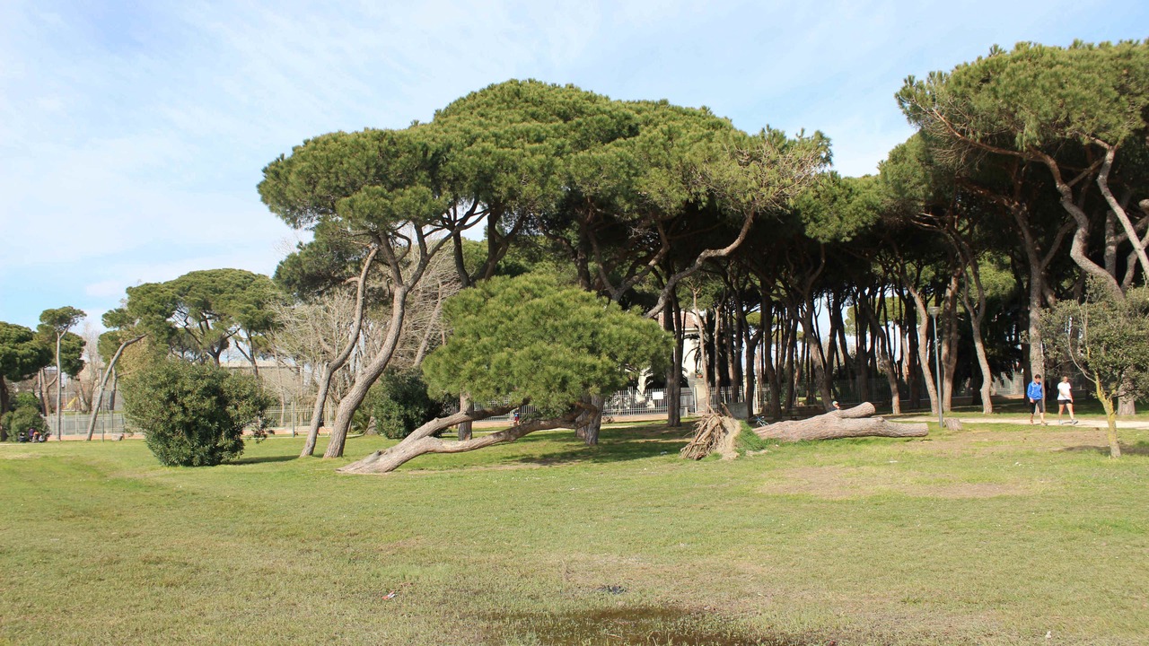 Photo of Others in Fiumicino