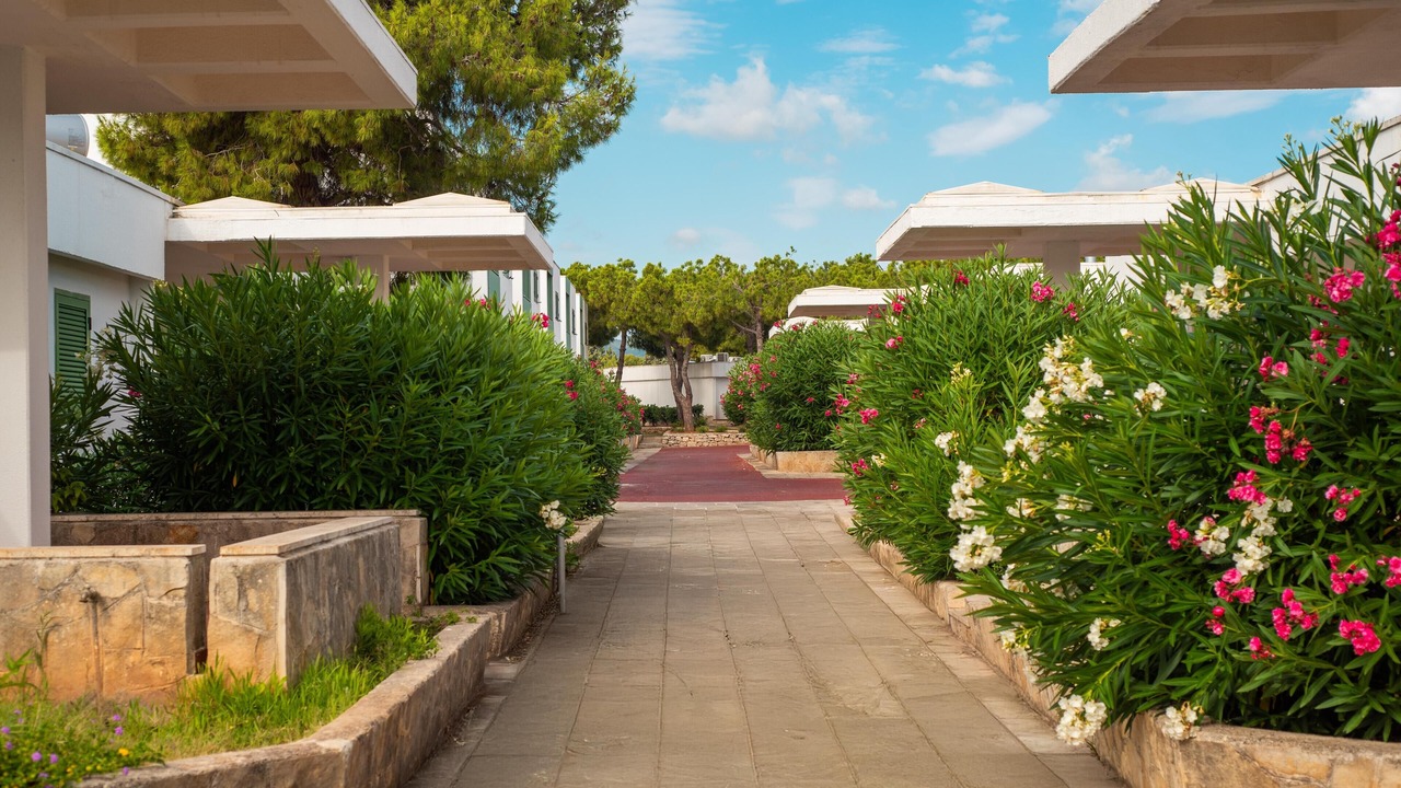 Photo of Outdoor in Capitolo