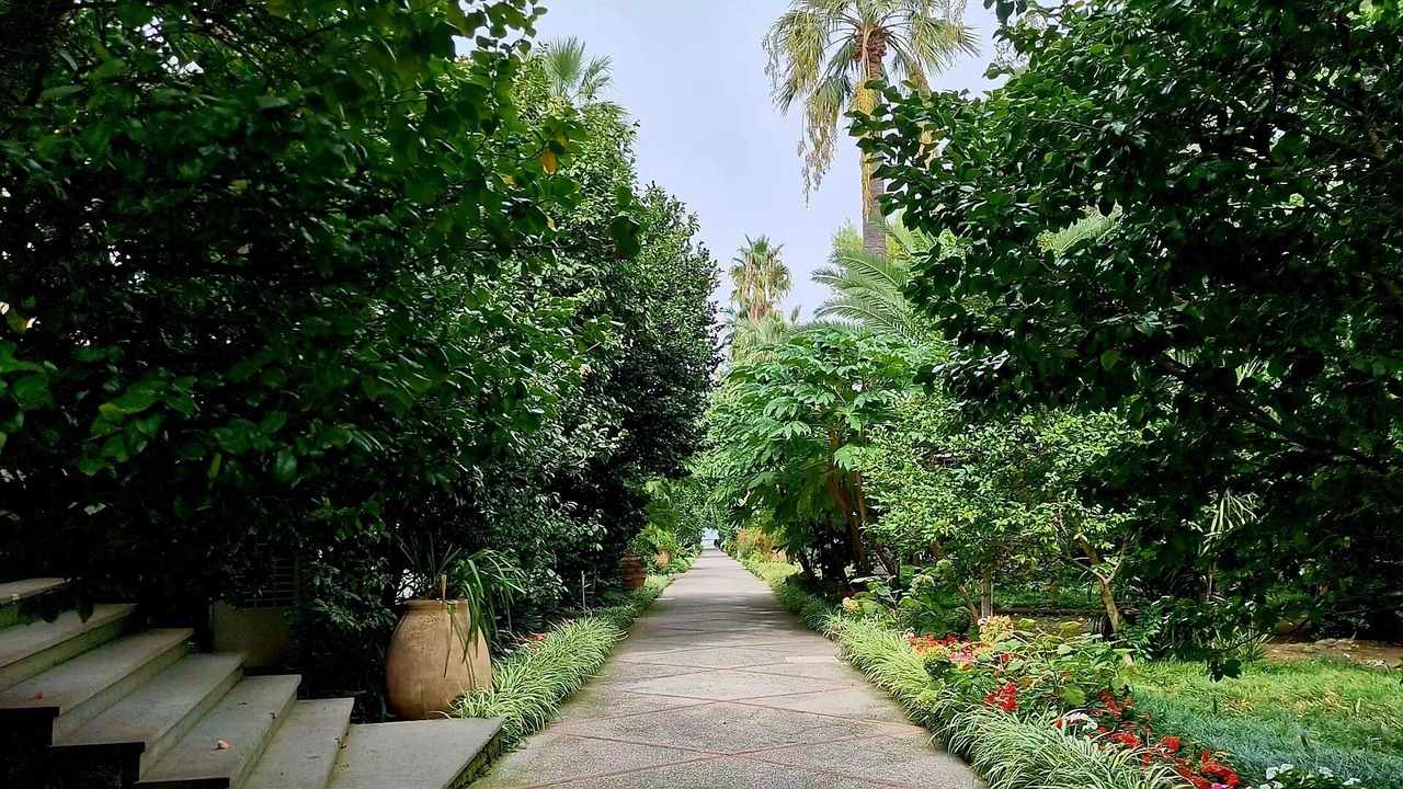 Photo of Outdoor in Sant'Agnello